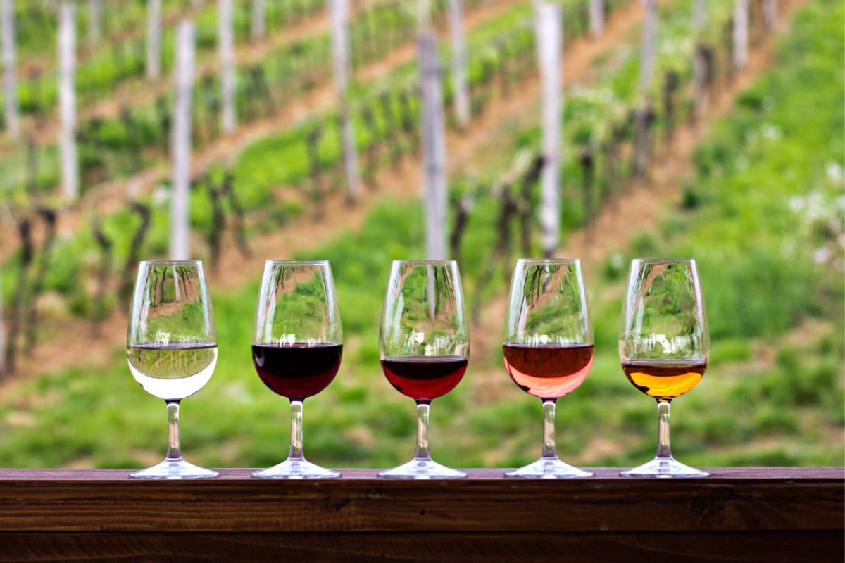 5 curiosità sul vino che devi assolutamente sapere