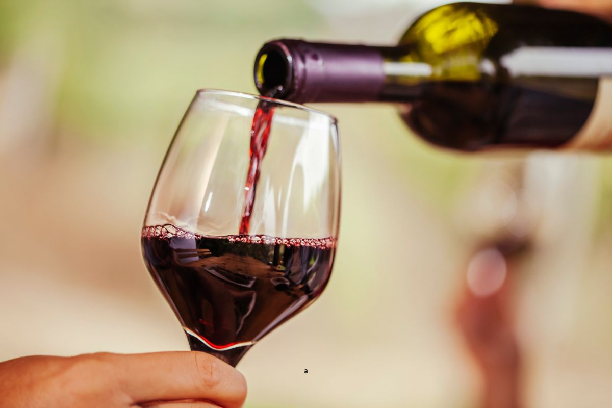 I vini premiati: le etichette più acclamate dalle guide enologiche e dai concorsi internazionali